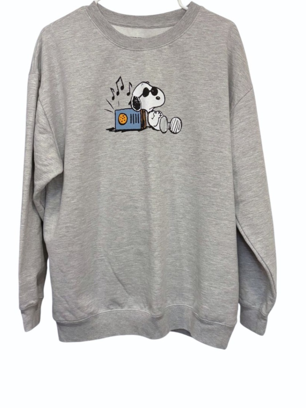 Men's Peanuts Snoopy Records Crewneck Sweater